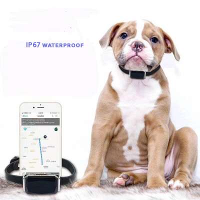 2020 hot selling  IP67 waterproof smart pet animal cat dog  position mini GPS Tracking  device